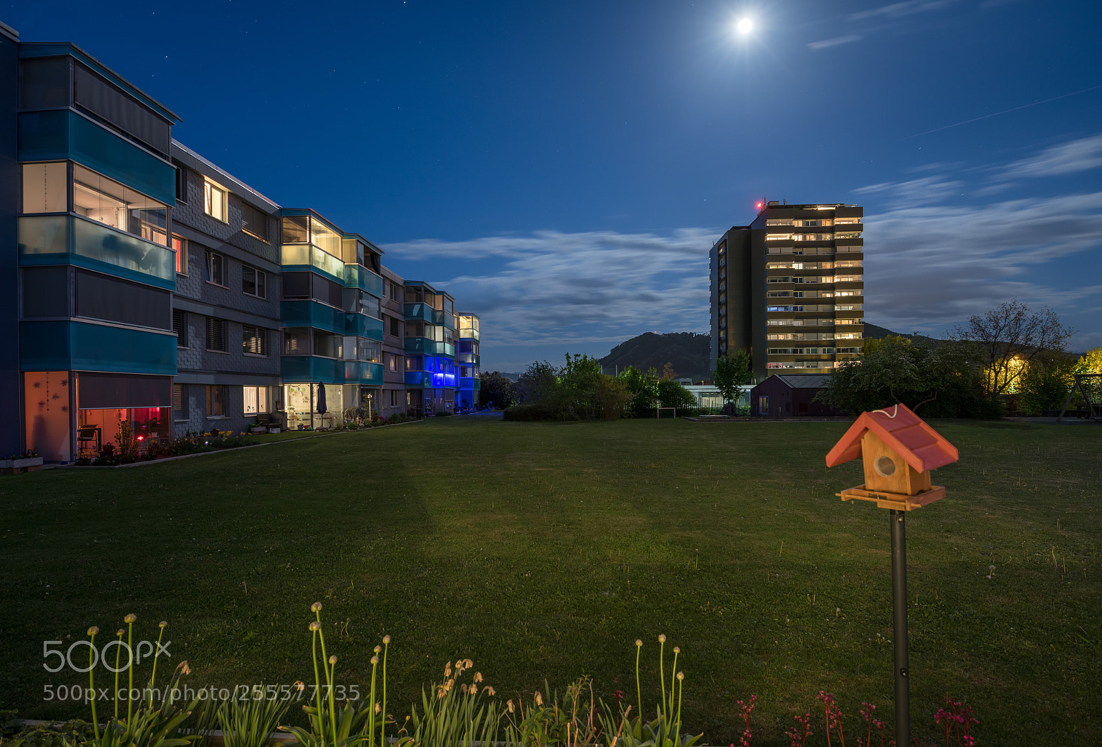 Nikon D850 sample photo. Great evening at home photography