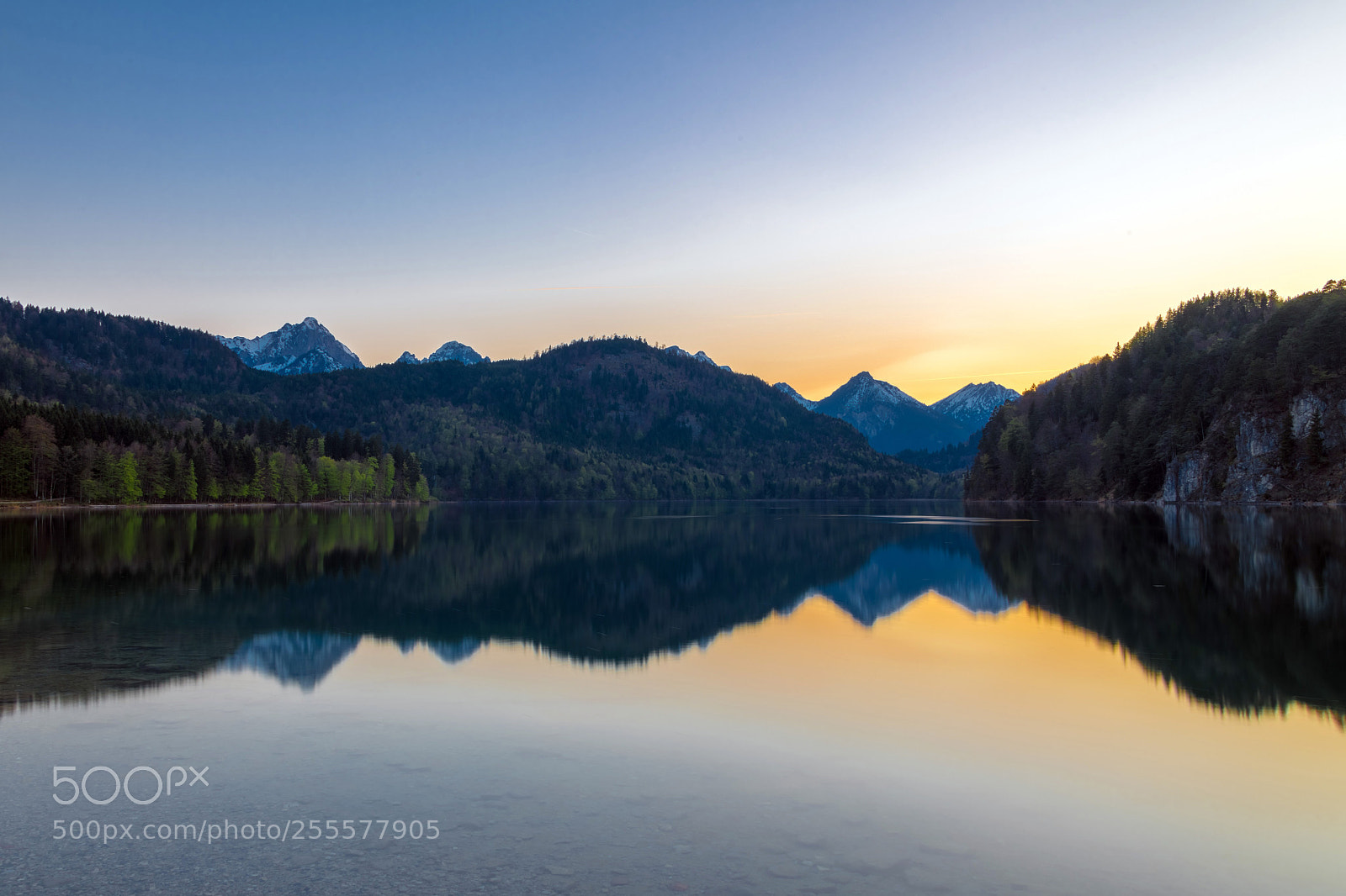 Nikon D850 sample photo. Lake by hohenschwangau de photography