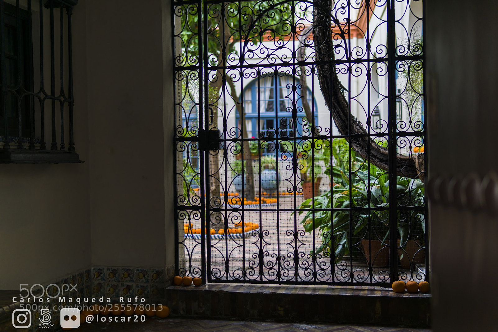 Sony a6000 sample photo. Patio de sevilla photography