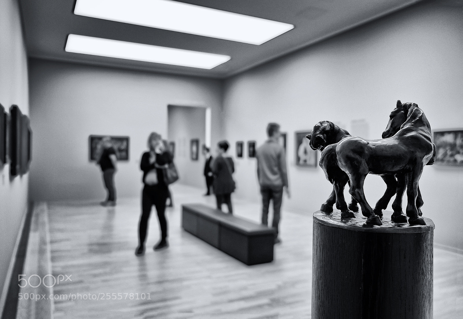 Fujifilm X-T1 sample photo. Two horses photography