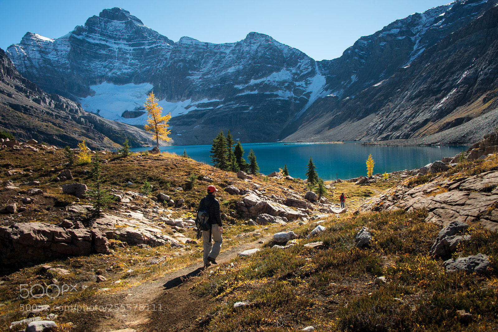 Nikon D800 sample photo. Lake o'hara hiking photography