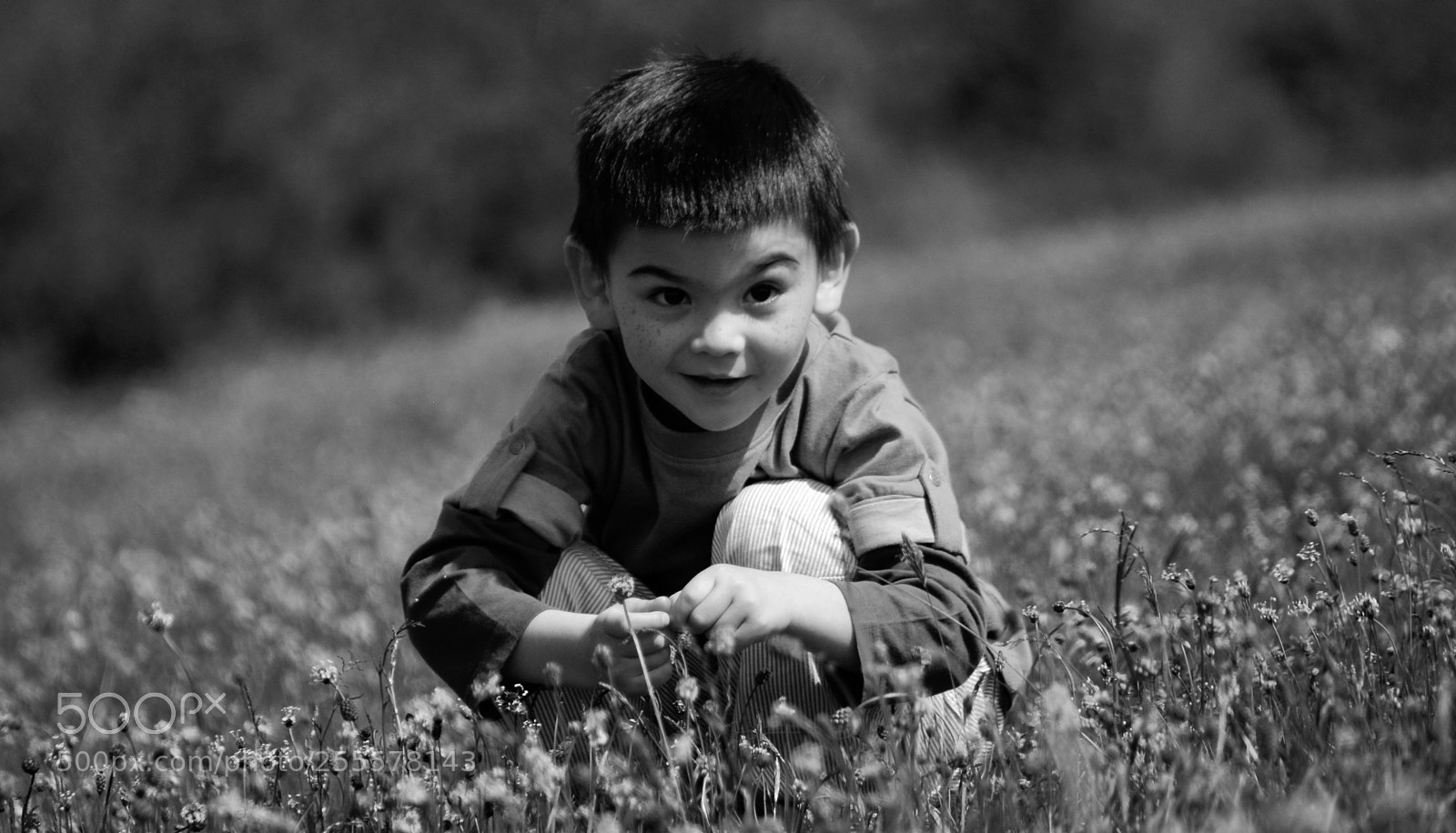 Nikon D60 sample photo. Swann photography