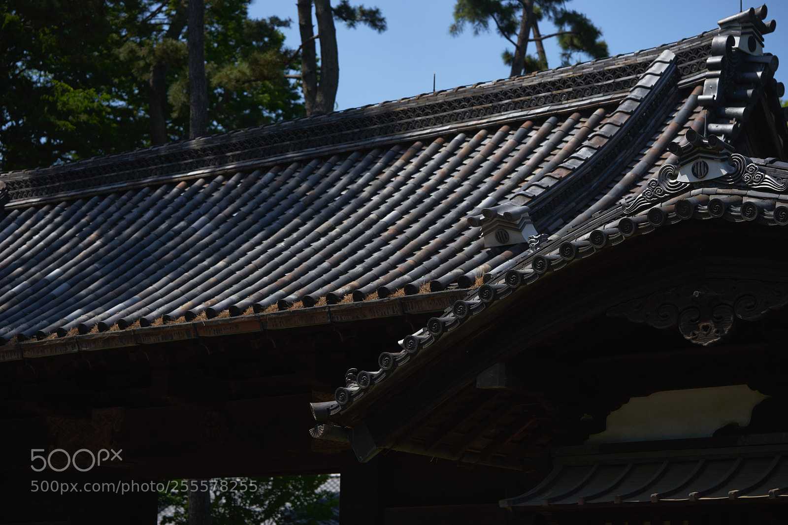 Sony a7 sample photo. Street 294 photography