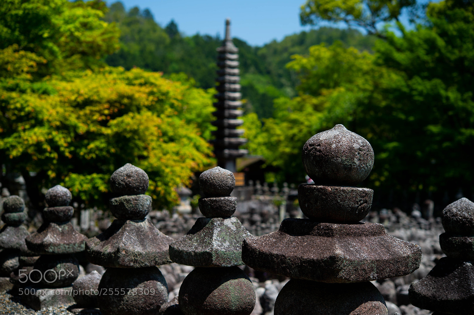 Nikon Df sample photo. Old temple in kyoto photography