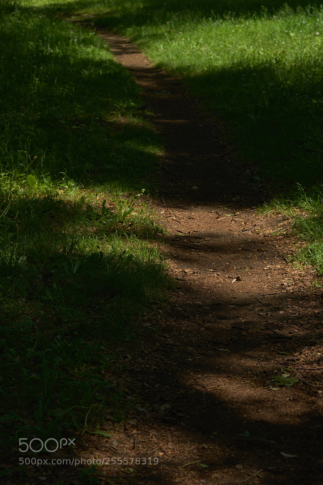 Sony a7 sample photo. Street 295 photography