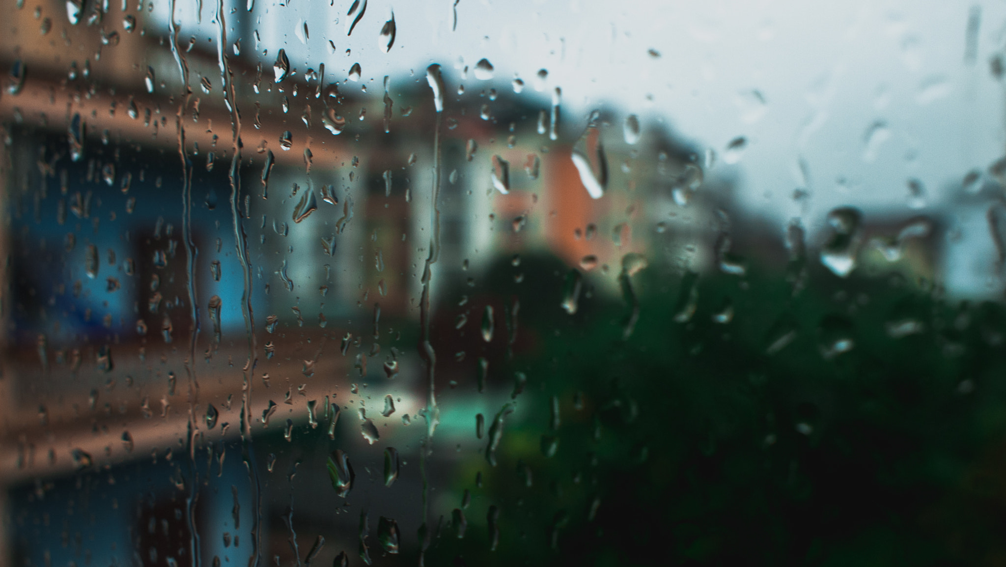 Olympus PEN E-P1 sample photo. Rain drops on the window photography