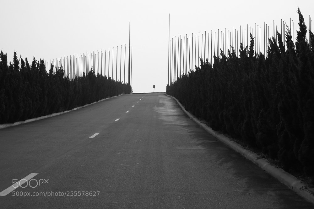 Canon EOS 5D Mark II sample photo. Road photography