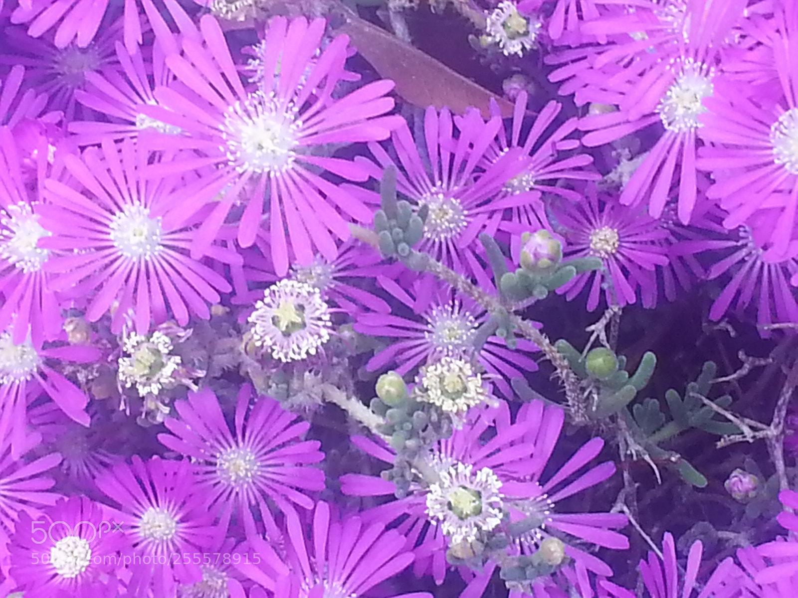 Samsung Galaxy Note2 sample photo. Hi!! photography