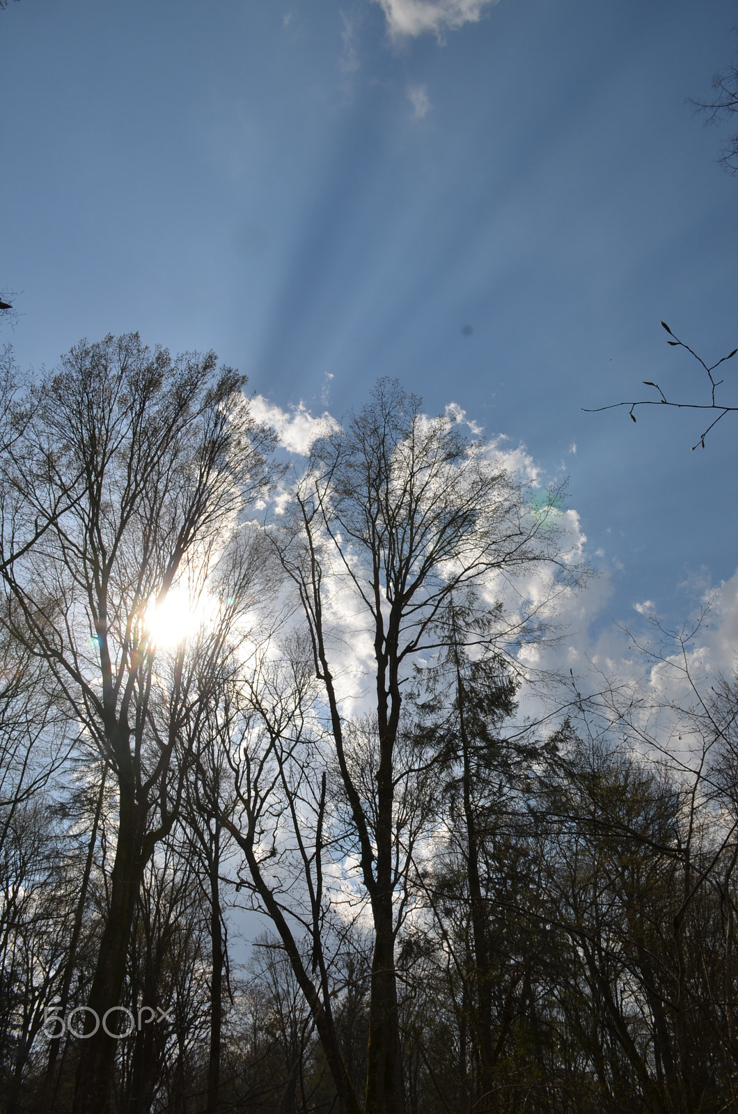 Nikon D7000 sample photo. Sun beams photography