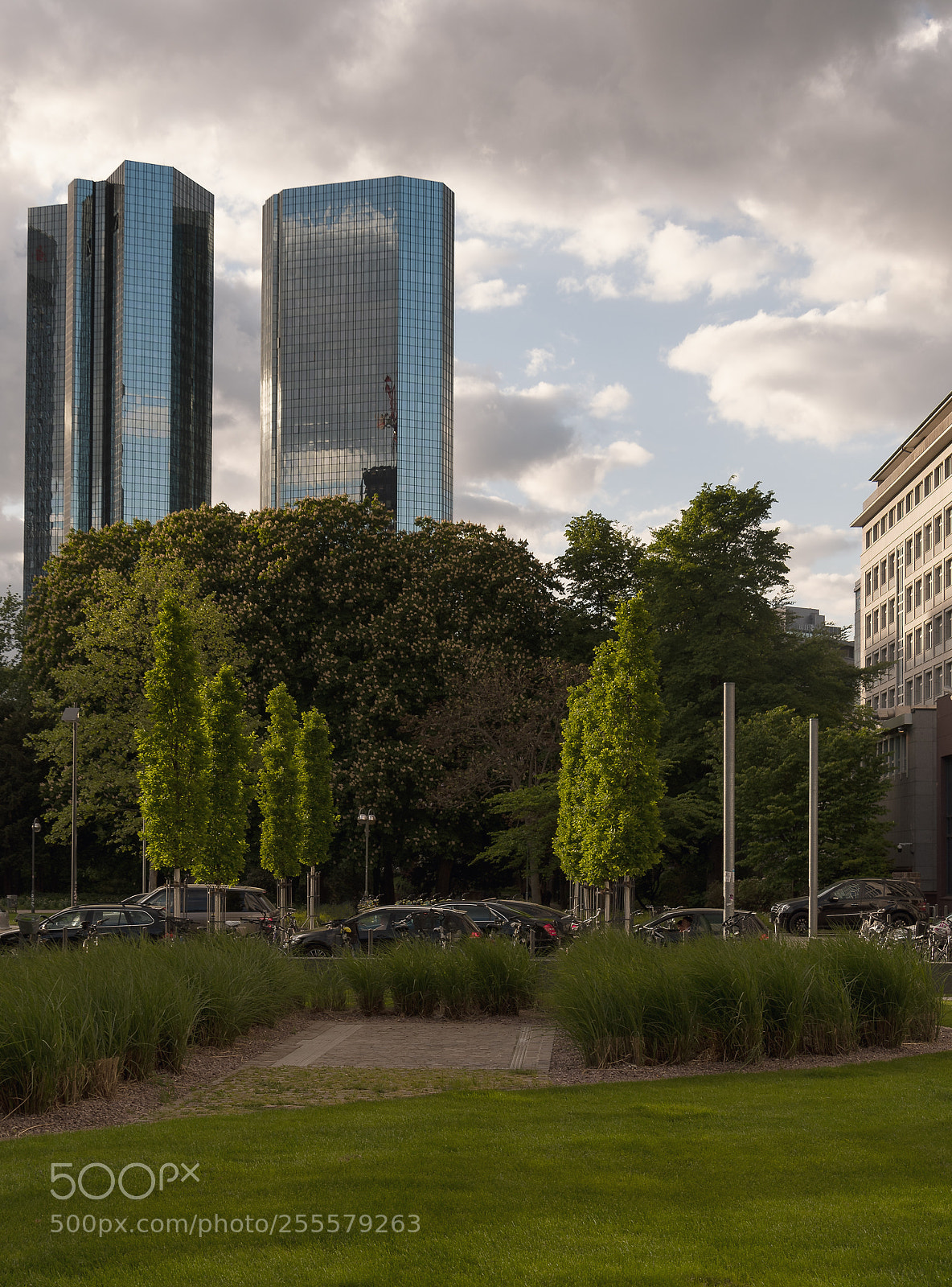 Nikon D7500 sample photo. Frankfurt am main photography