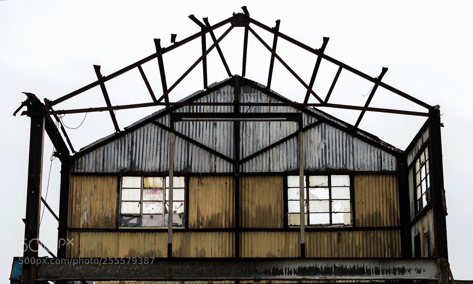 Nikon D3200 sample photo. Untitled photography