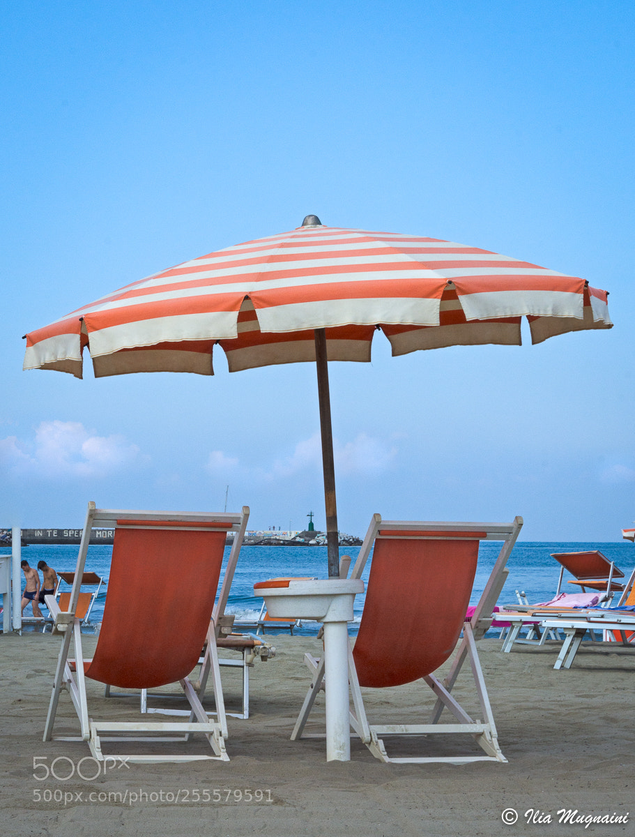 Nikon D7200 sample photo. Minimal umbrella 1 photography