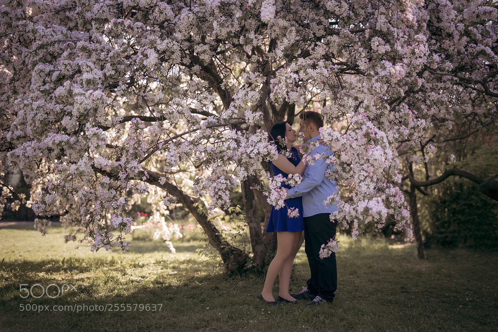 Canon EOS 6D sample photo. Love story 2 photography