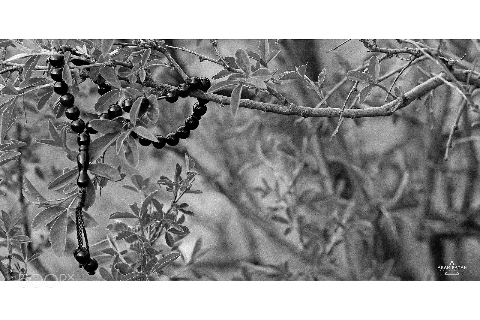 Canon EOS 1200D (EOS Rebel T5 / EOS Kiss X70 / EOS Hi) sample photo. Af_blackandwhite_series photography