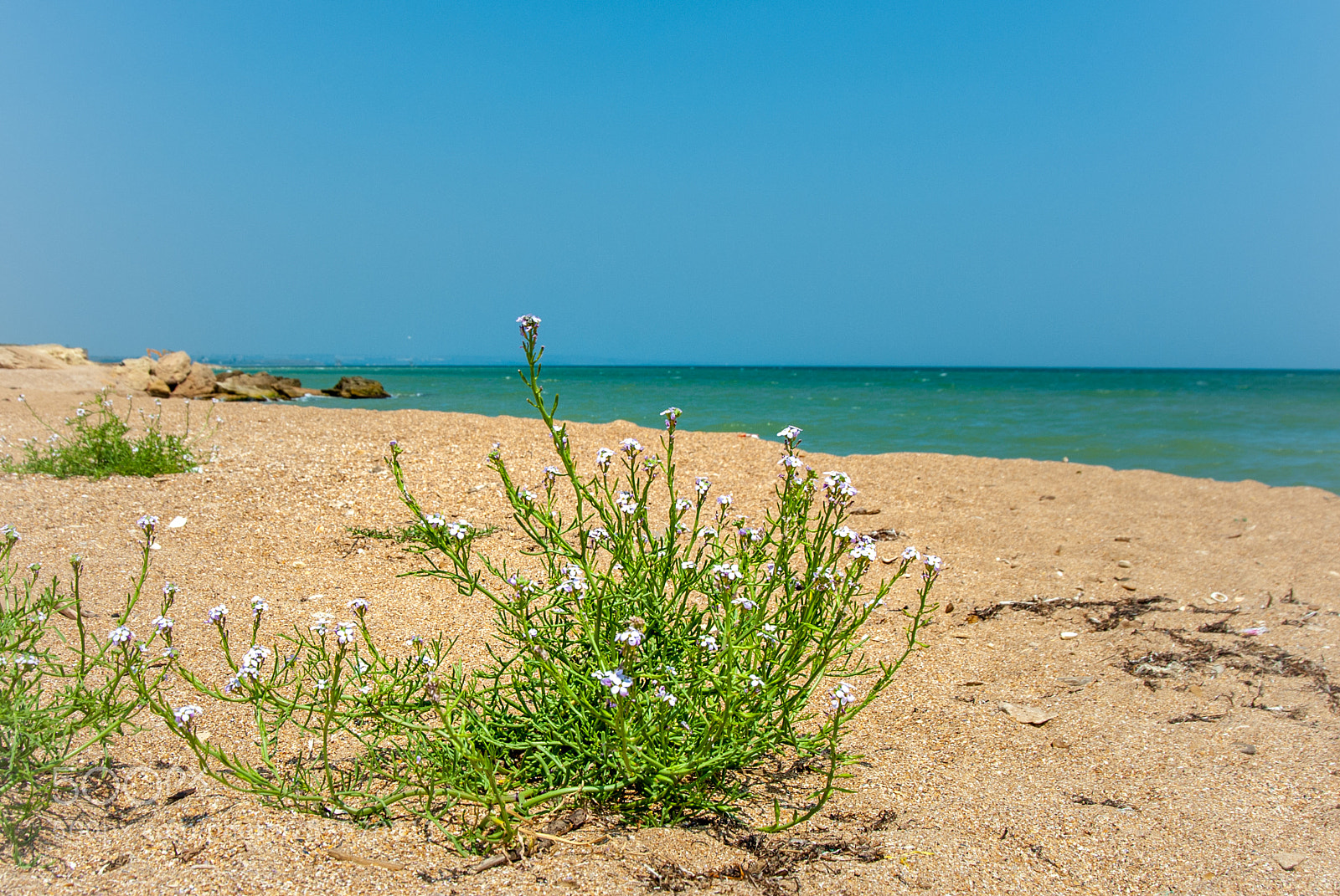 Nikon D200 sample photo. Coast photography
