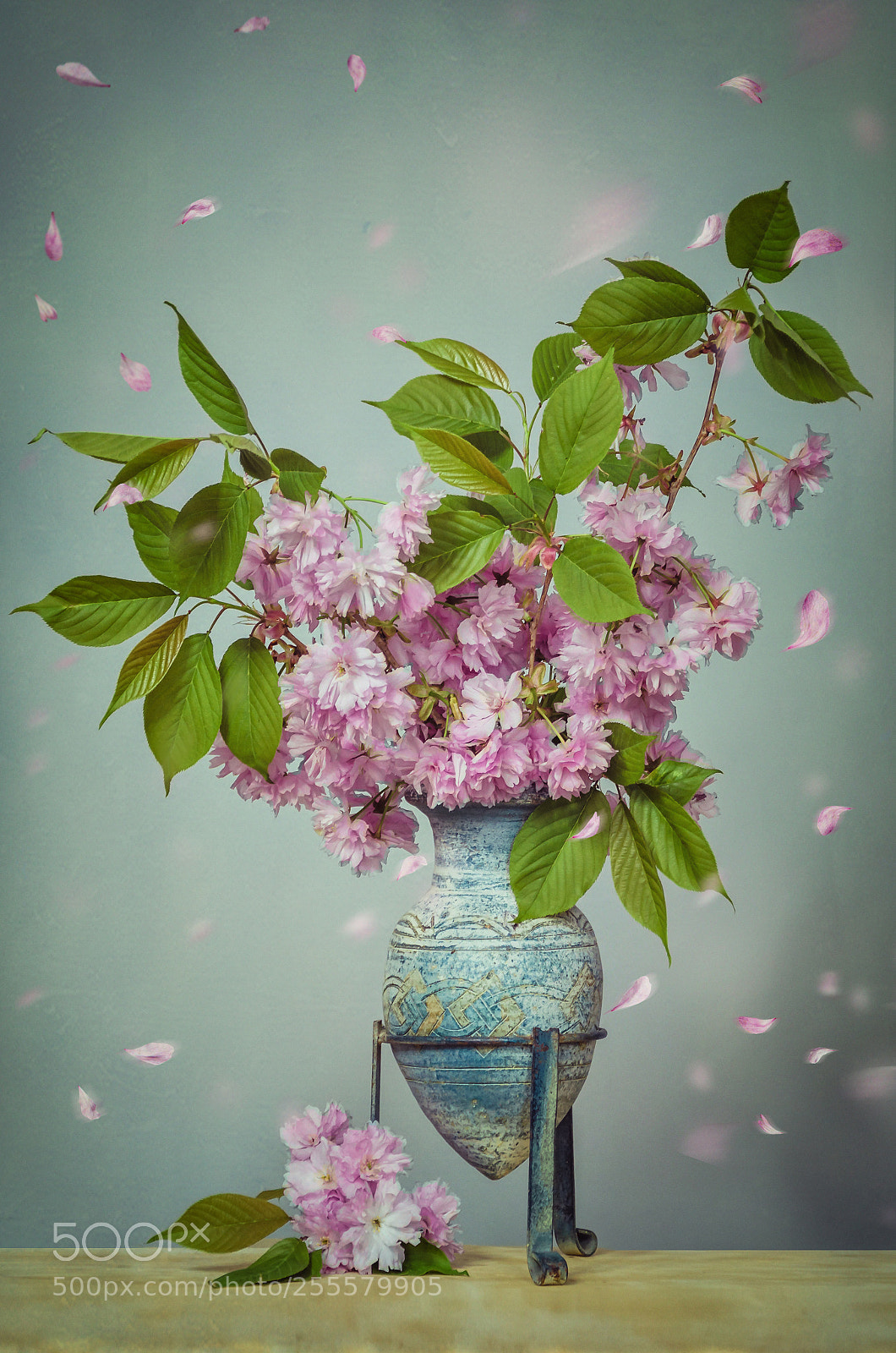 Nikon D7000 sample photo. Cherrie flowers photography