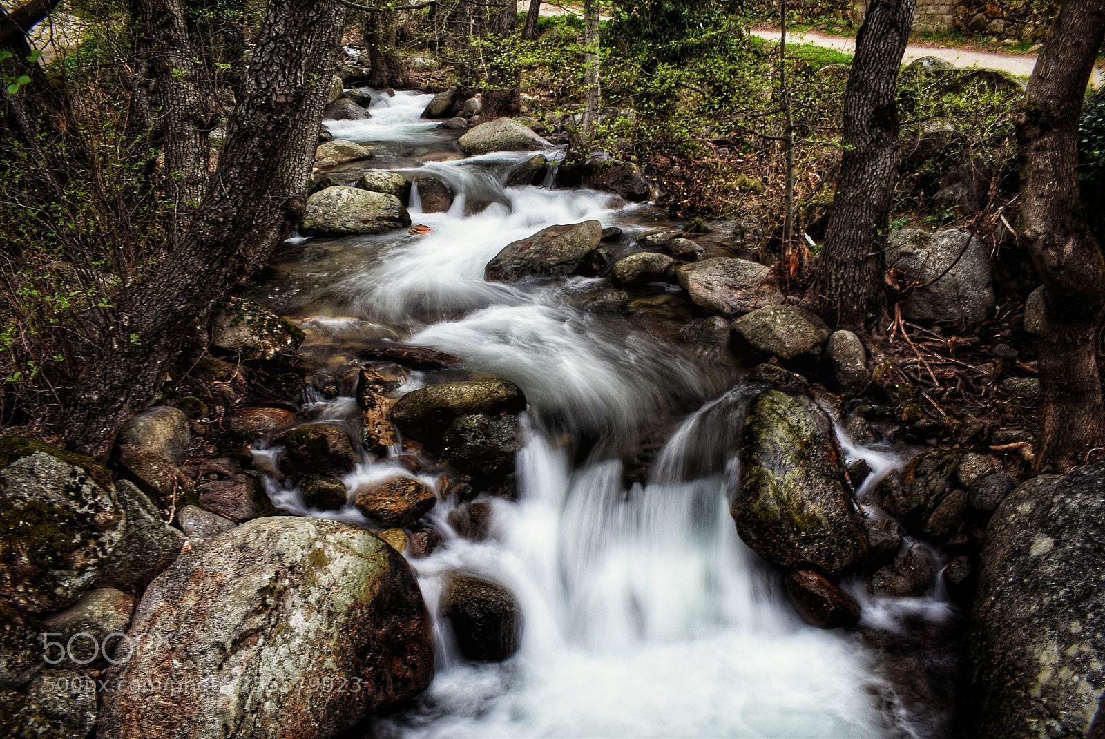 Nikon D3300 sample photo. Idyllic photography