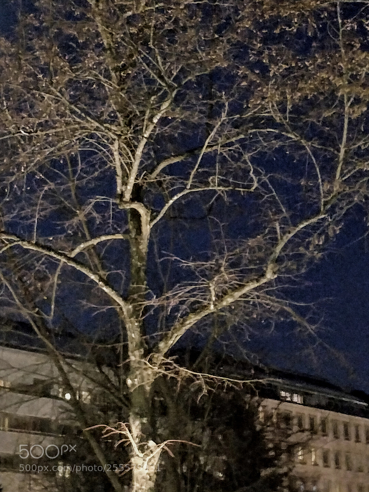 OnePlus 5T sample photo. Untitled photography