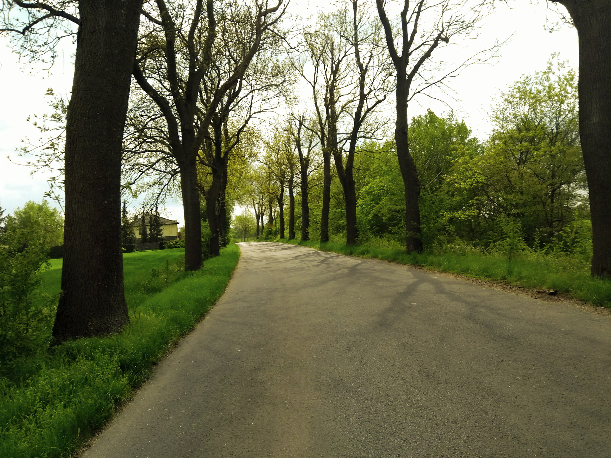 Motorola Moto G (5th Gen) sample photo