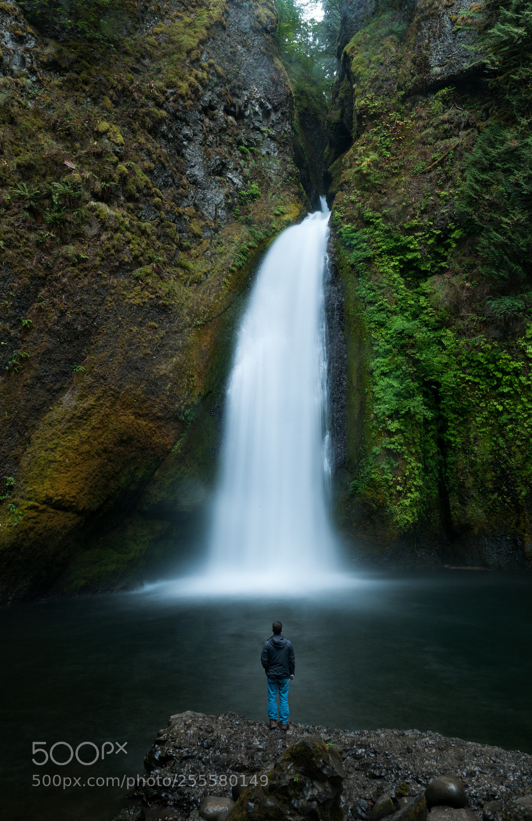 Nikon D90 sample photo. Wahkeena falls photography