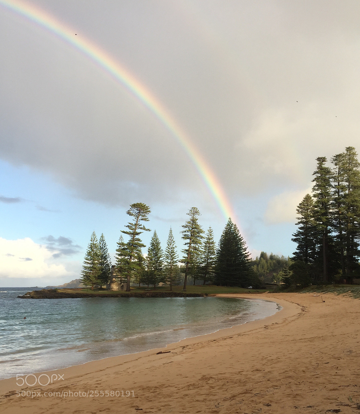 Apple iPhone 6 sample photo. Emily bay 
? photography