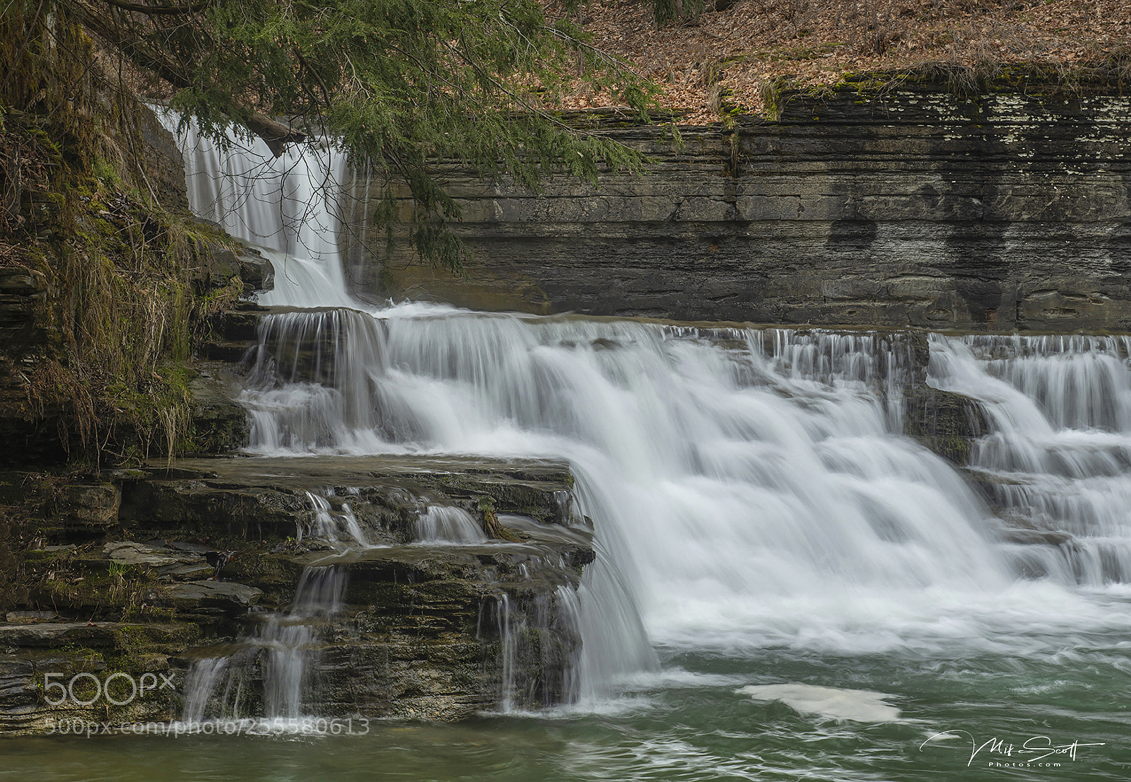 Nikon D850 sample photo. Upper treman photography