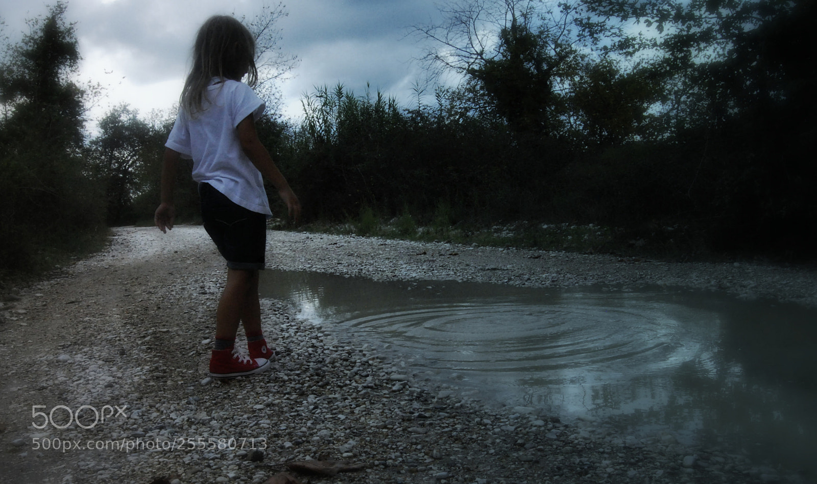 Nikon D60 sample photo. Circle photography