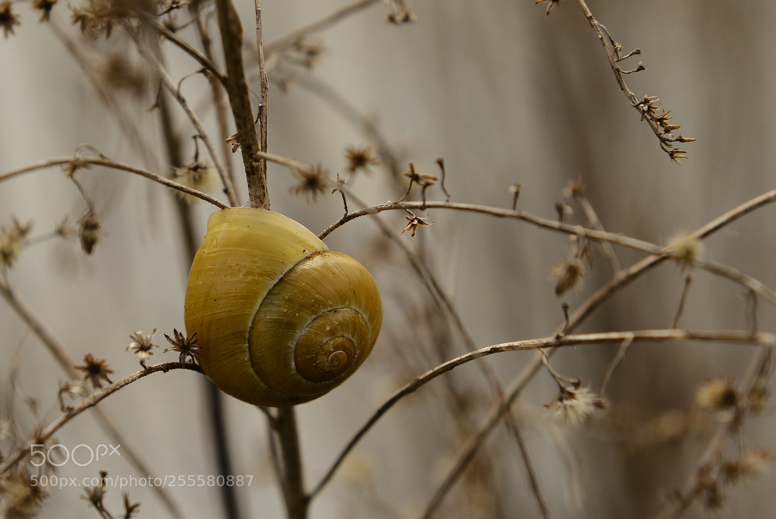 Nikon D800 sample photo. Langzaam photography
