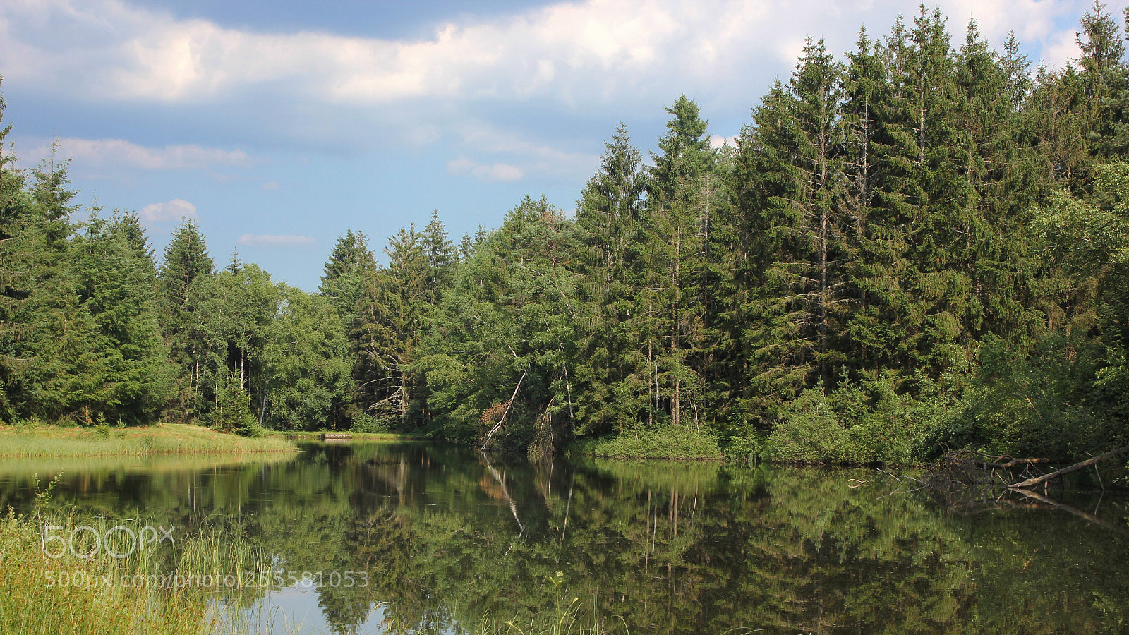 Canon EF-S 18-55mm F3.5-5.6 IS sample photo. Mille etangs photography