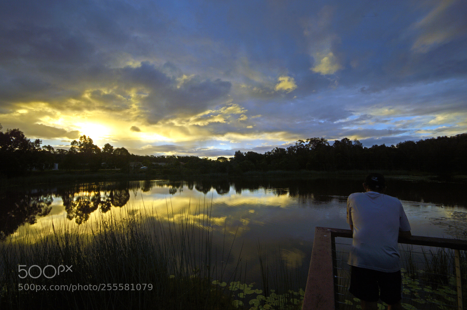 Nikon D3200 sample photo. Wetlands sunset photography