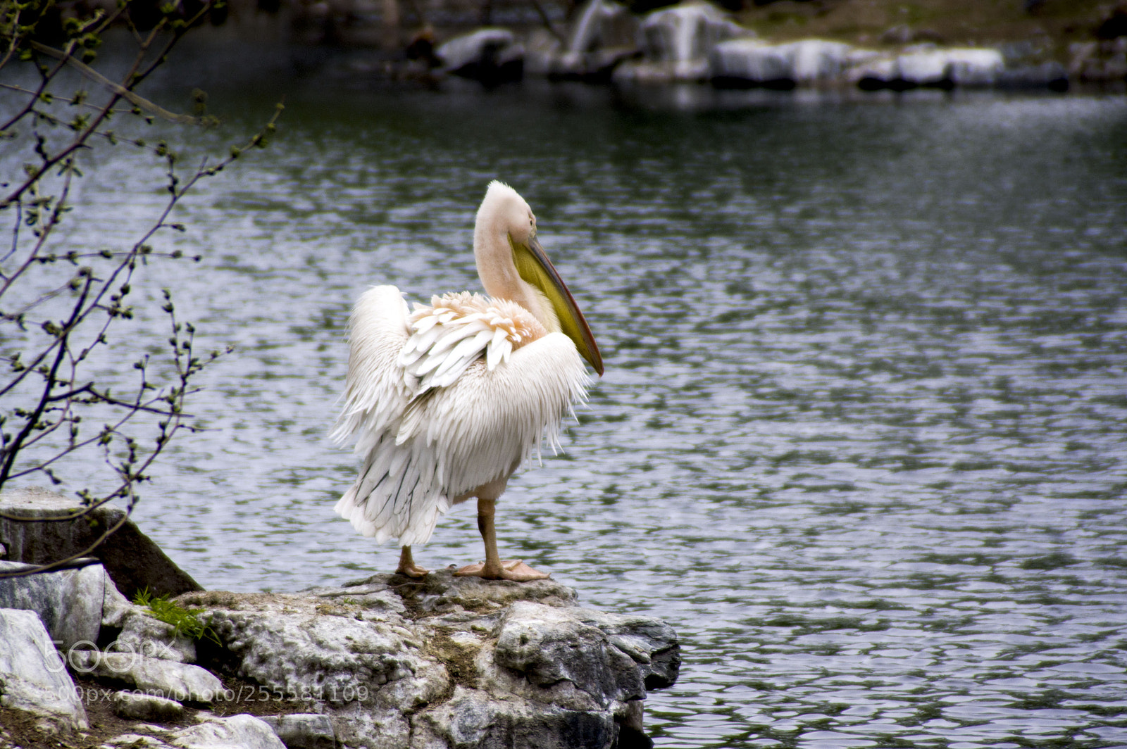 Pentax K-3 sample photo. Untitled photography