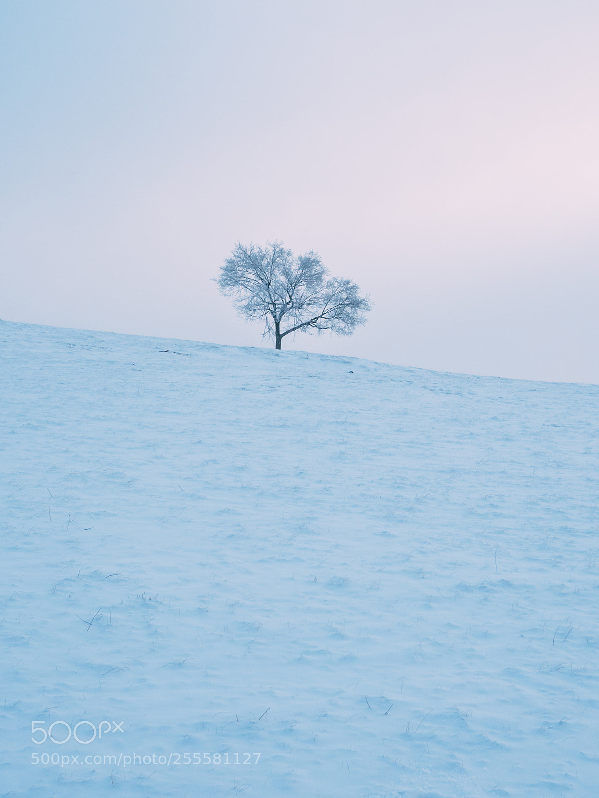 Olympus OM-D E-M10 sample photo. Lonely photography