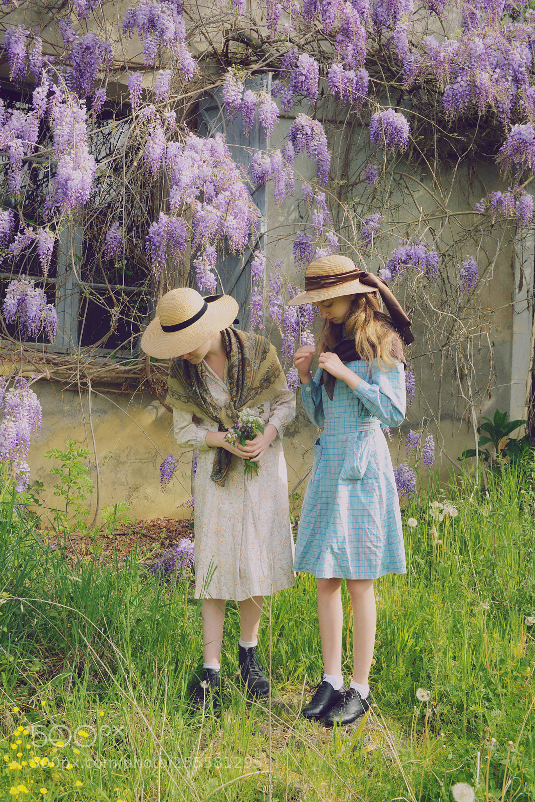Nikon D800 sample photo. Jeunes filles à la glycine... photography