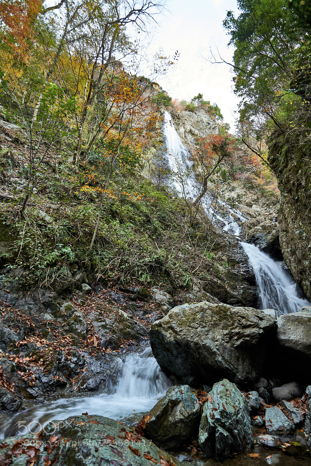 Nikon D800 sample photo. Trekking path(2) photography