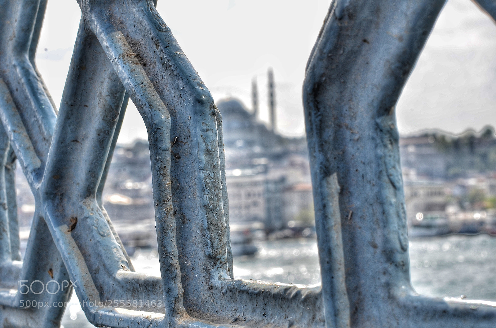 Nikon D7000 sample photo. Untitled photography