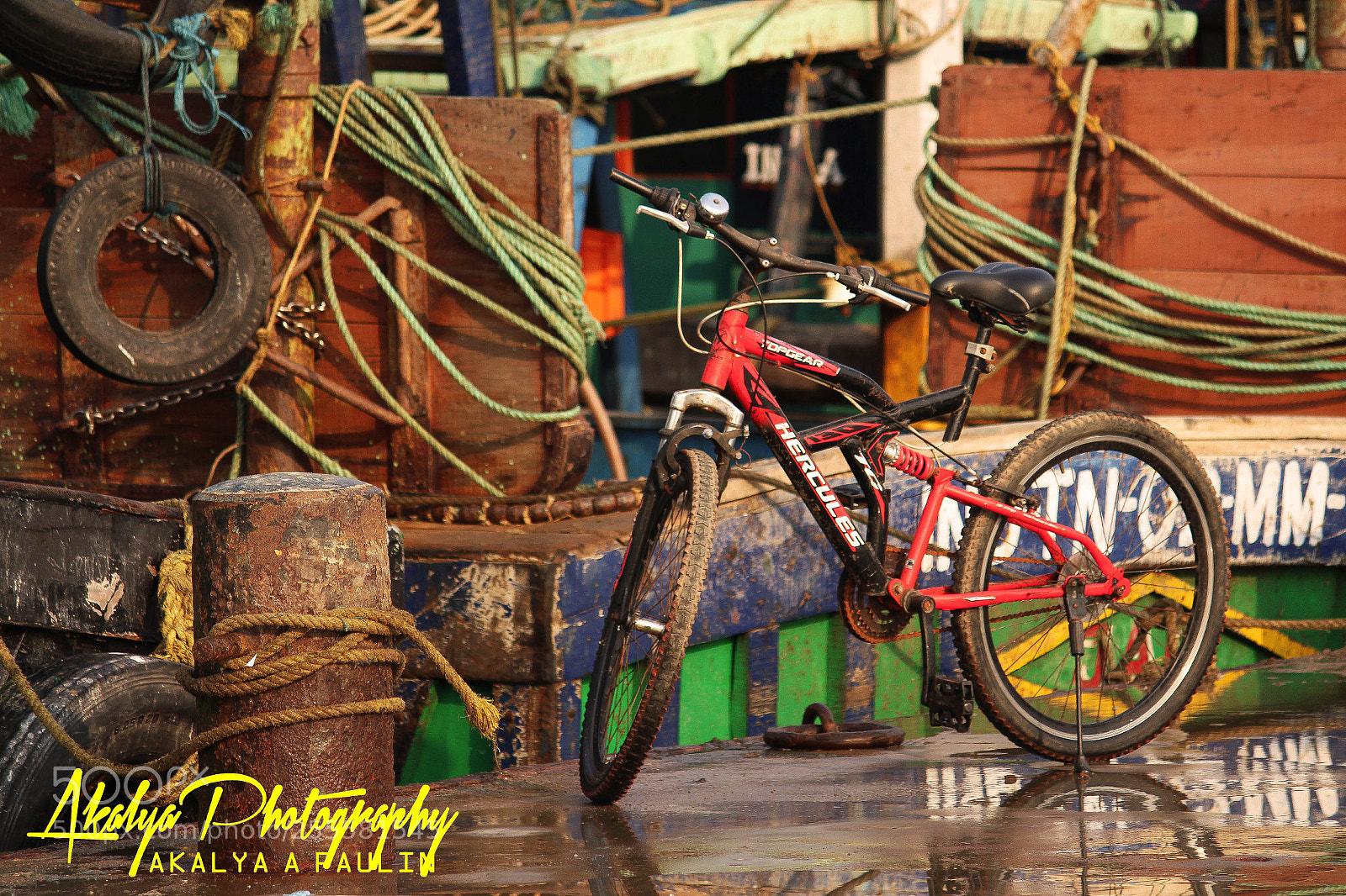 Canon EOS 700D (EOS Rebel T5i / EOS Kiss X7i) sample photo. Cycle photography
