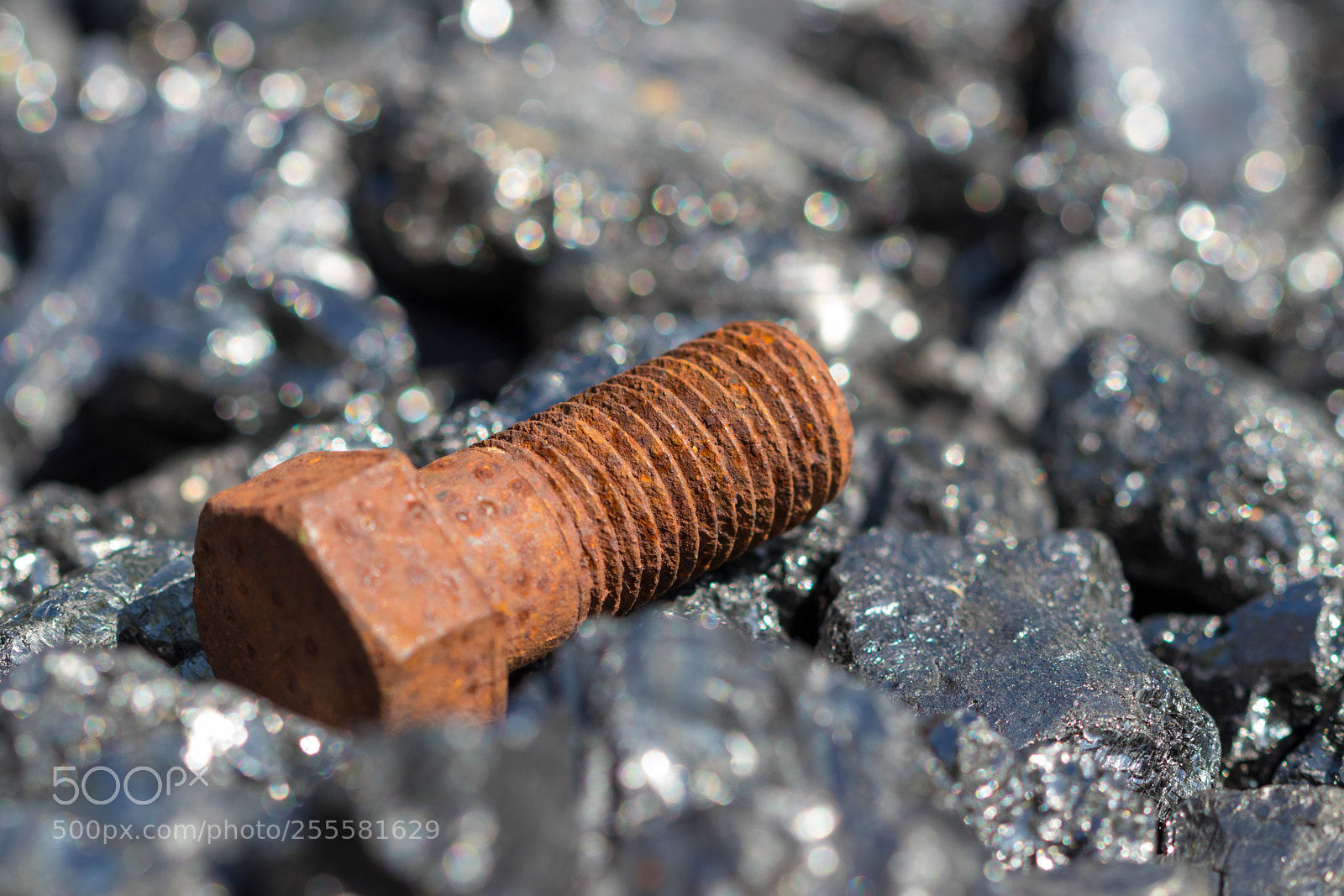 Canon EOS 80D sample photo. Rusty screw on coal photography