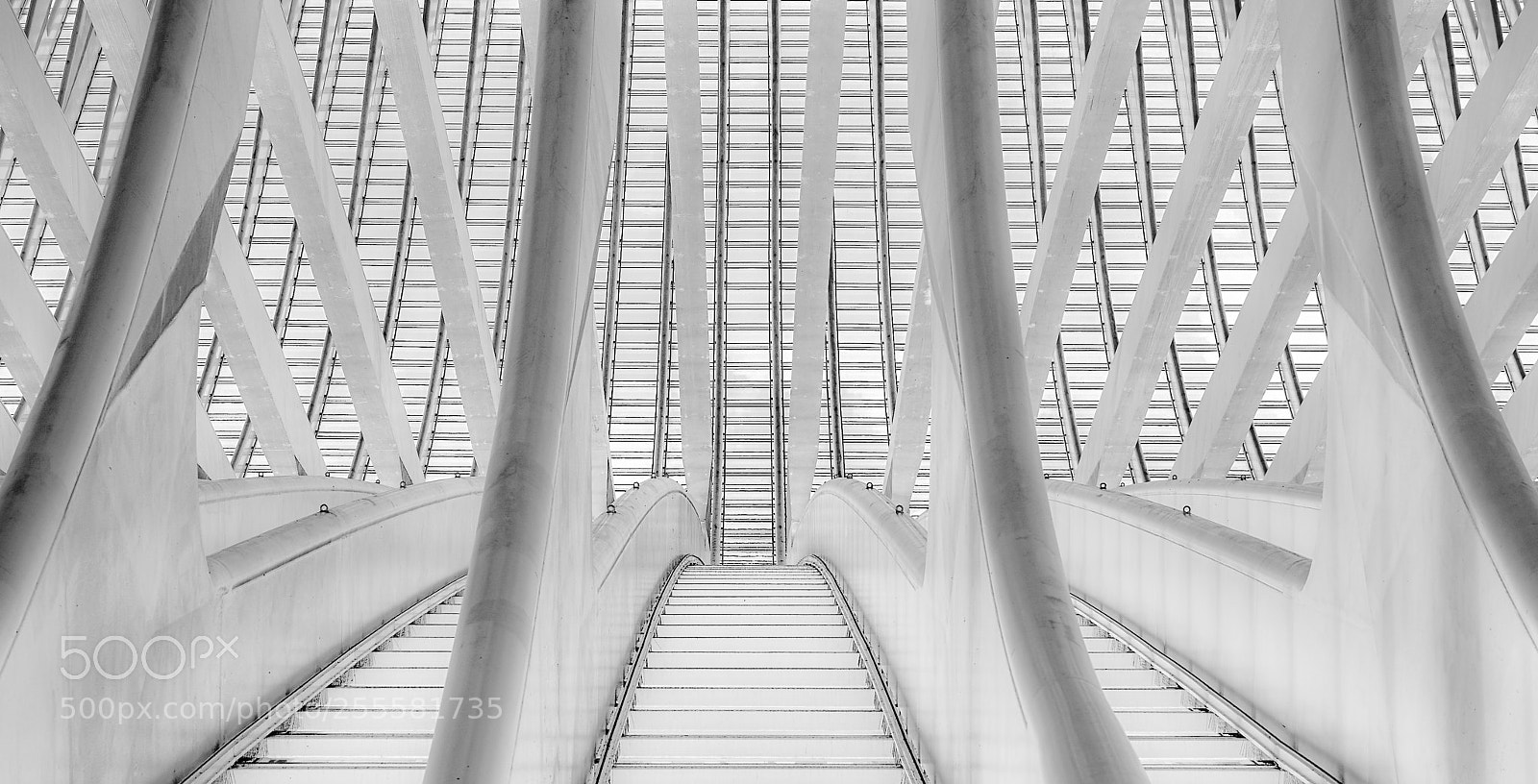 Sony a7 II sample photo. Stairway in heaven photography