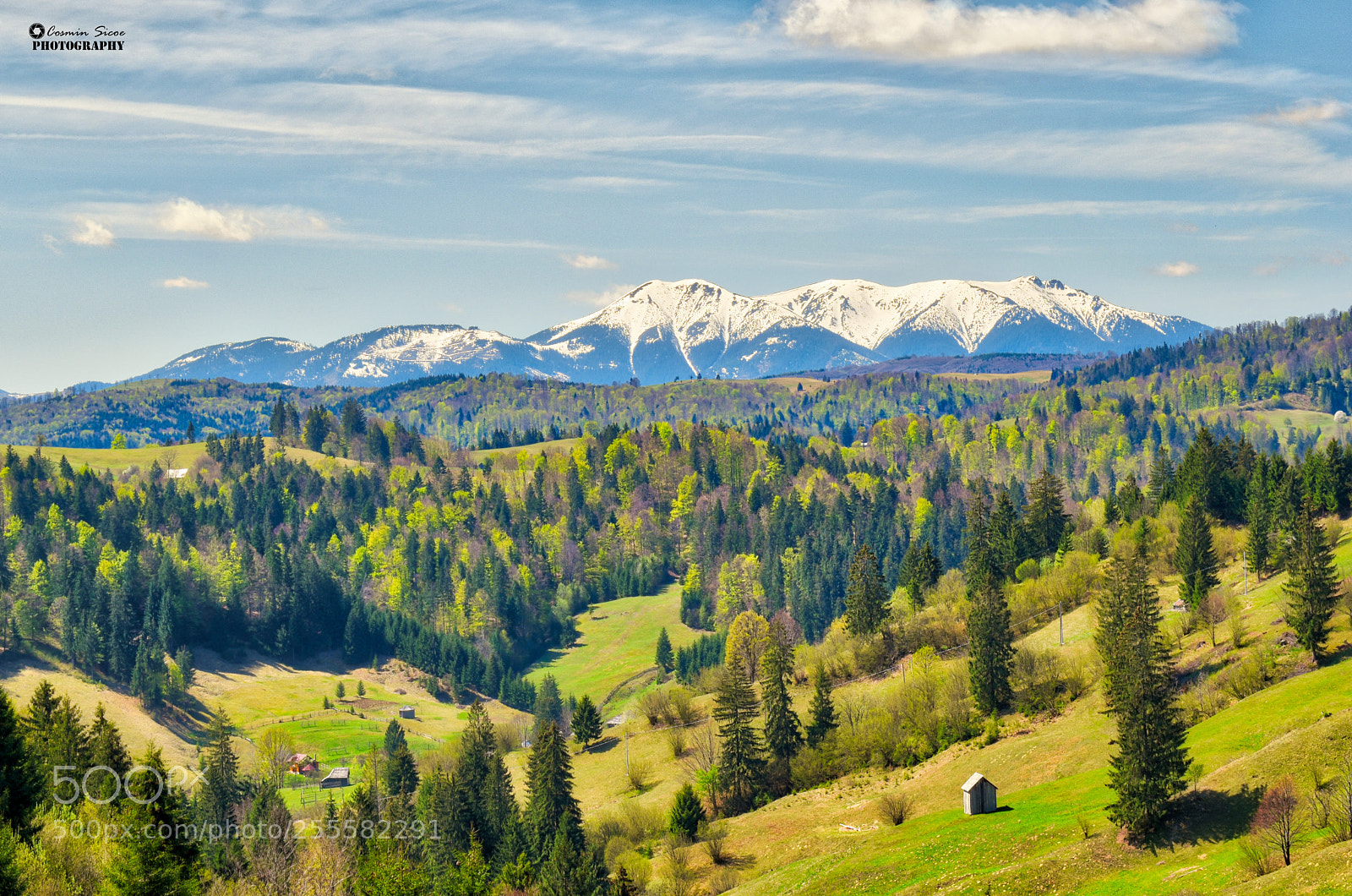 Nikon D5600 sample photo. Beautiful spring view in photography