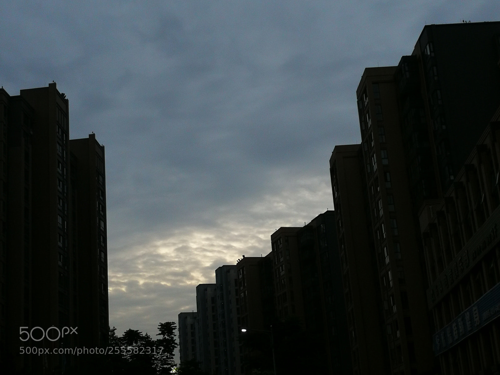 HUAWEI Mate 9 sample photo. Good morning photography