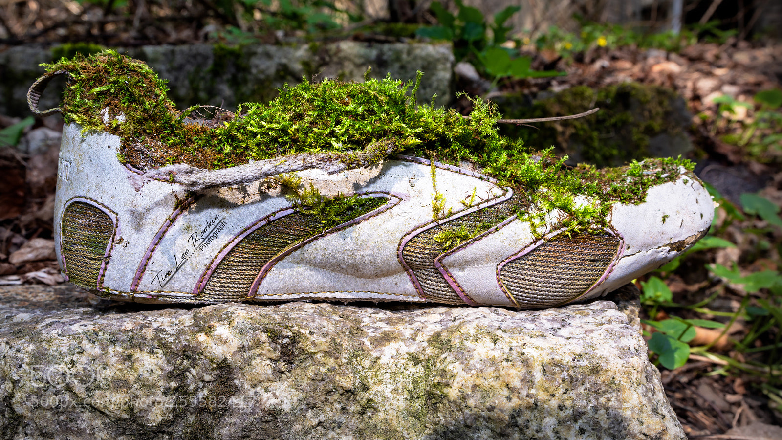 Nikon D7100 sample photo. Bio schuh photography