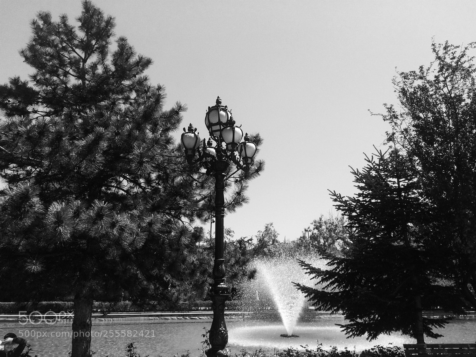Apple iPhone 5s sample photo. Untitled photography