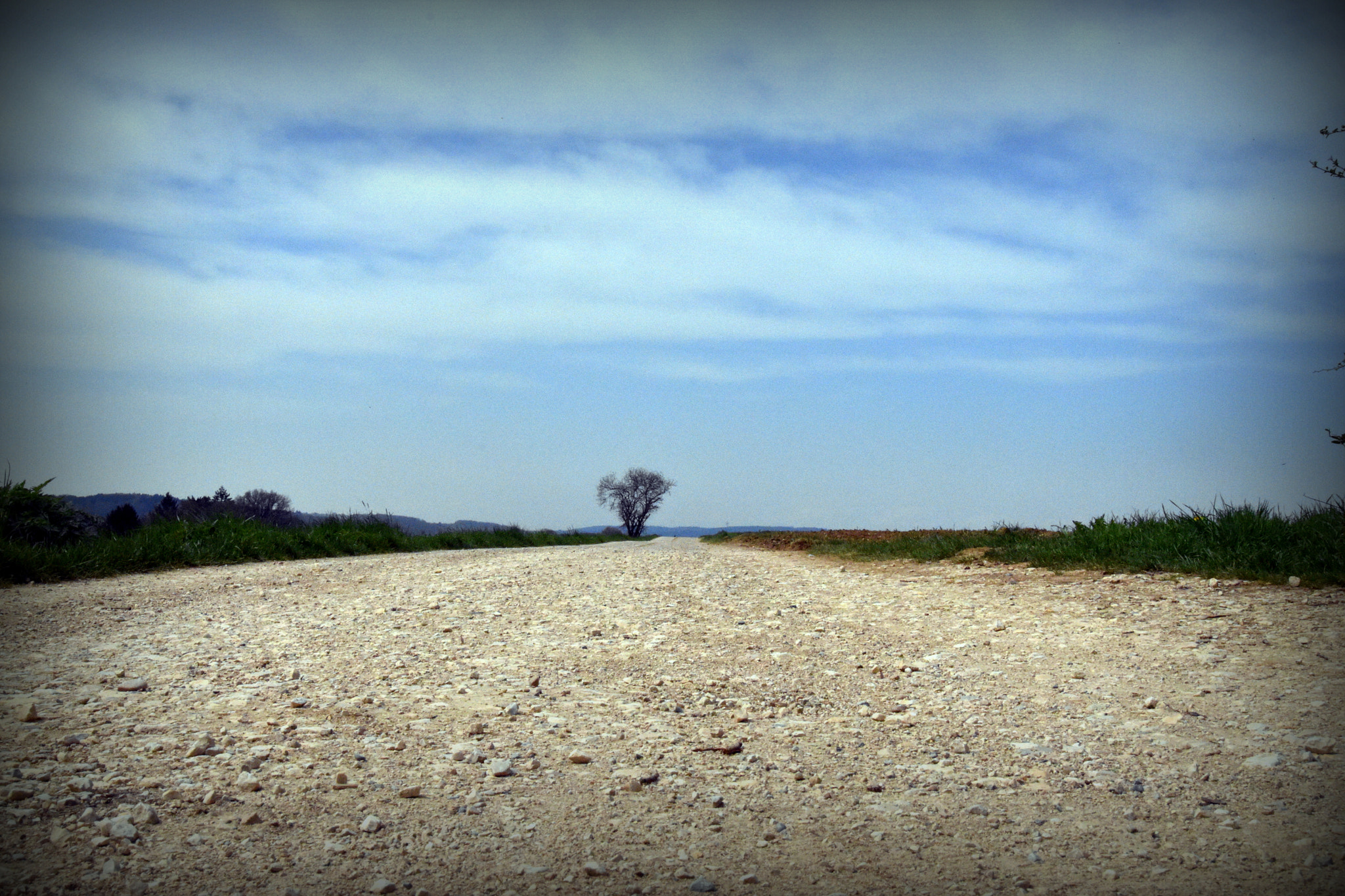 Nikon D5600 + Sigma 24-105mm F4 DG OS HSM Art sample photo. To the horizon photography