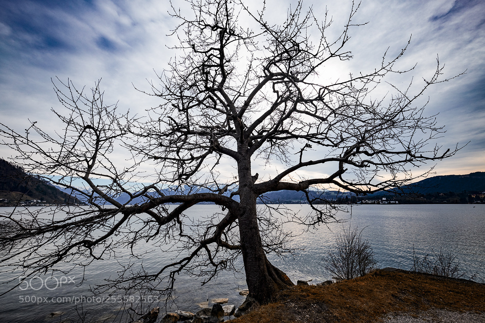 Fujifilm X-T20 sample photo. Medusa photography