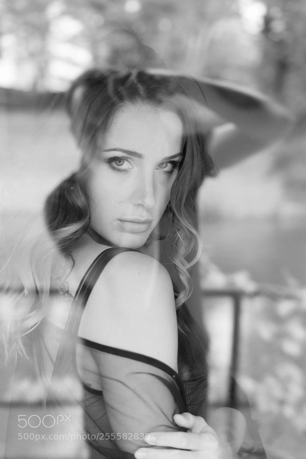 Sony a7R III sample photo. The photographer photography