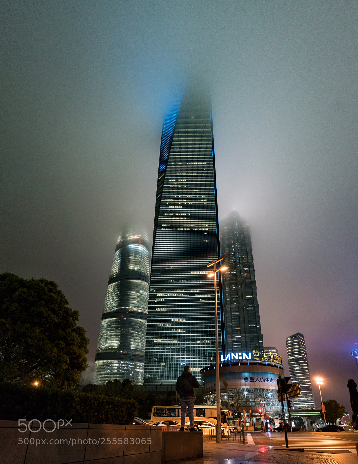 Sony a7R II sample photo. All the way up photography