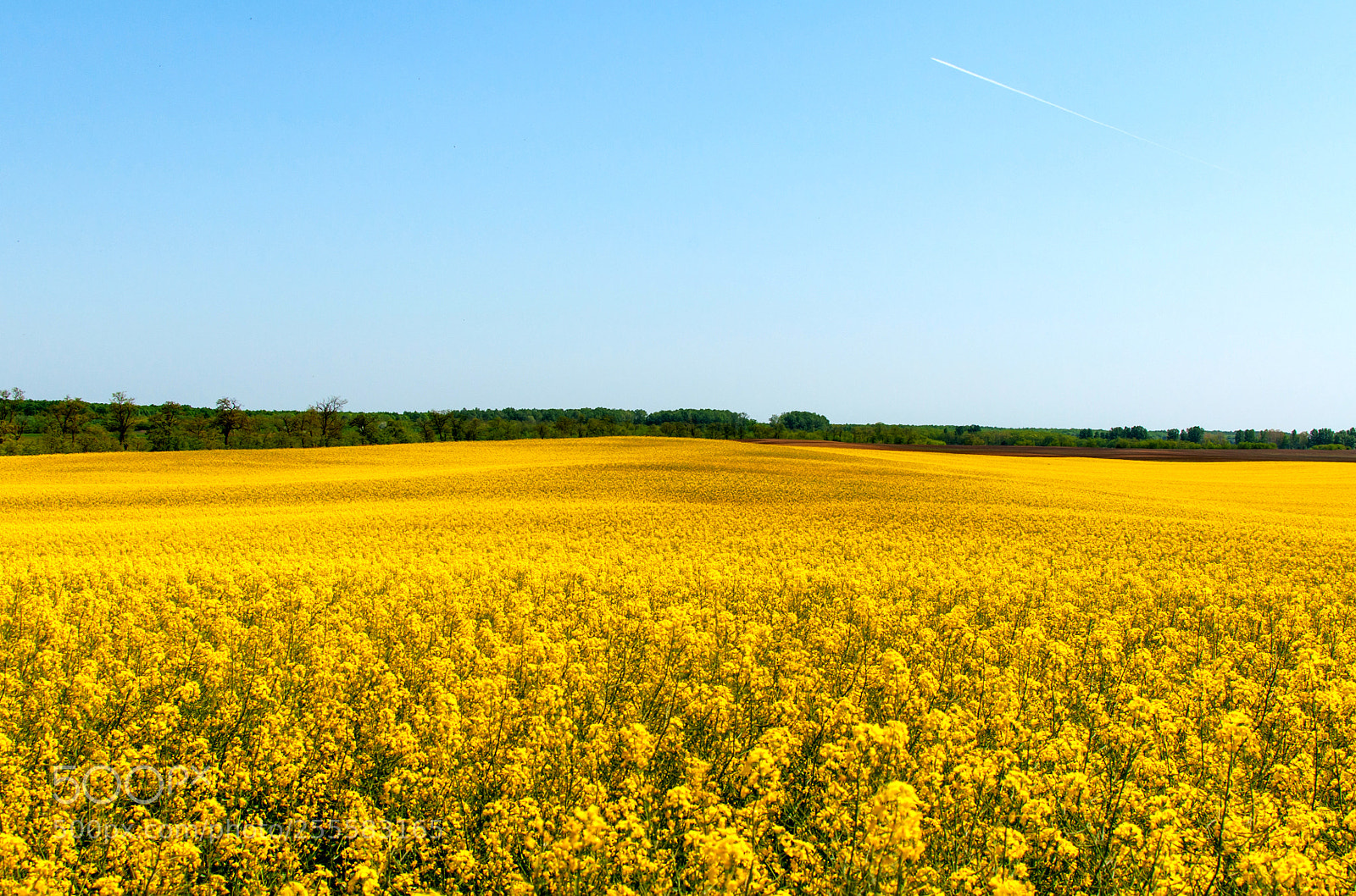 Nikon D90 sample photo. Yellow sea ii photography
