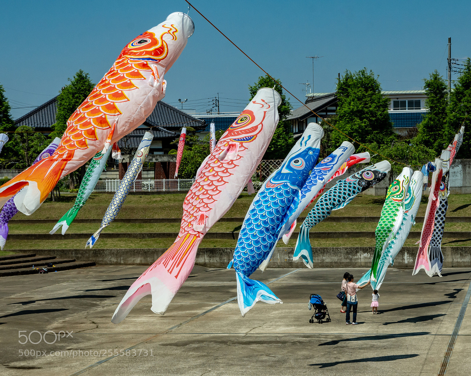Nikon D7200 sample photo. Carp-shaped streamers made of photography