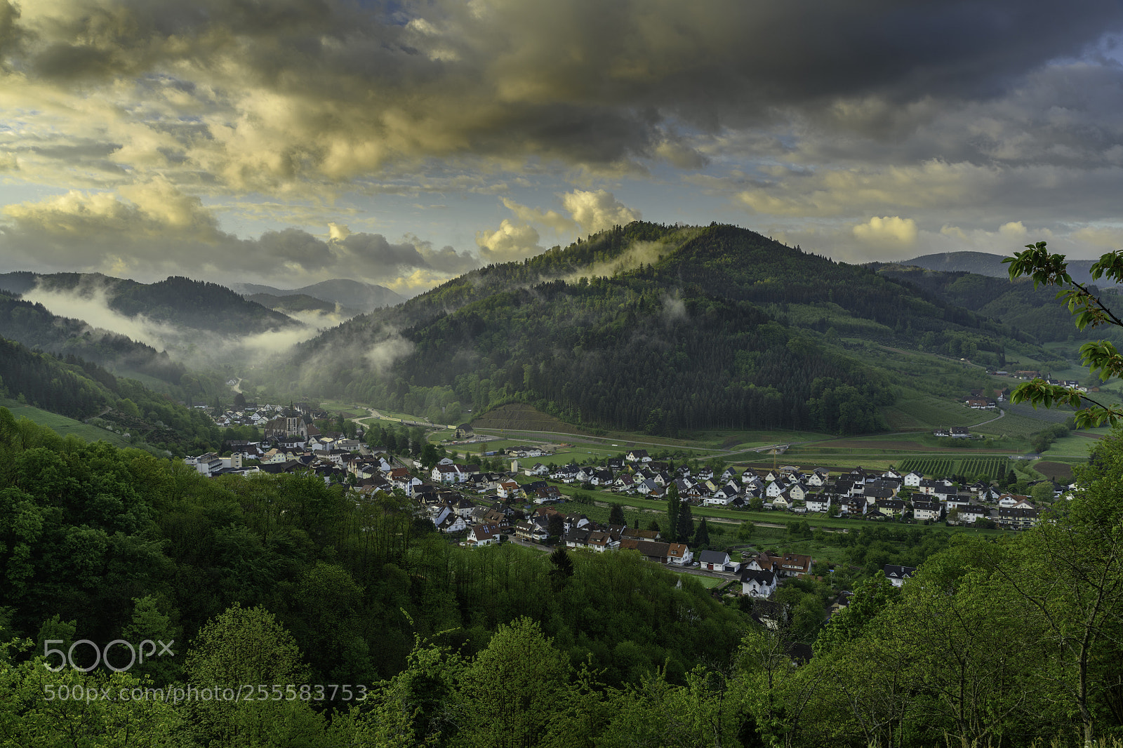 Nikon D850 sample photo. Blick aufs renchtal photography