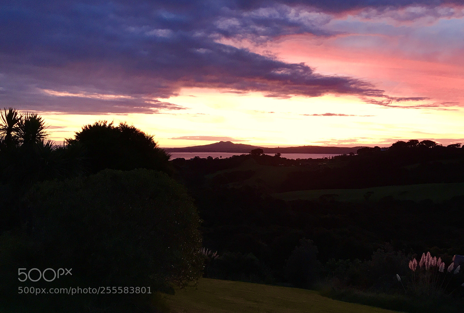 Apple iPhone 7 Plus sample photo. Sunset on waiheke island photography